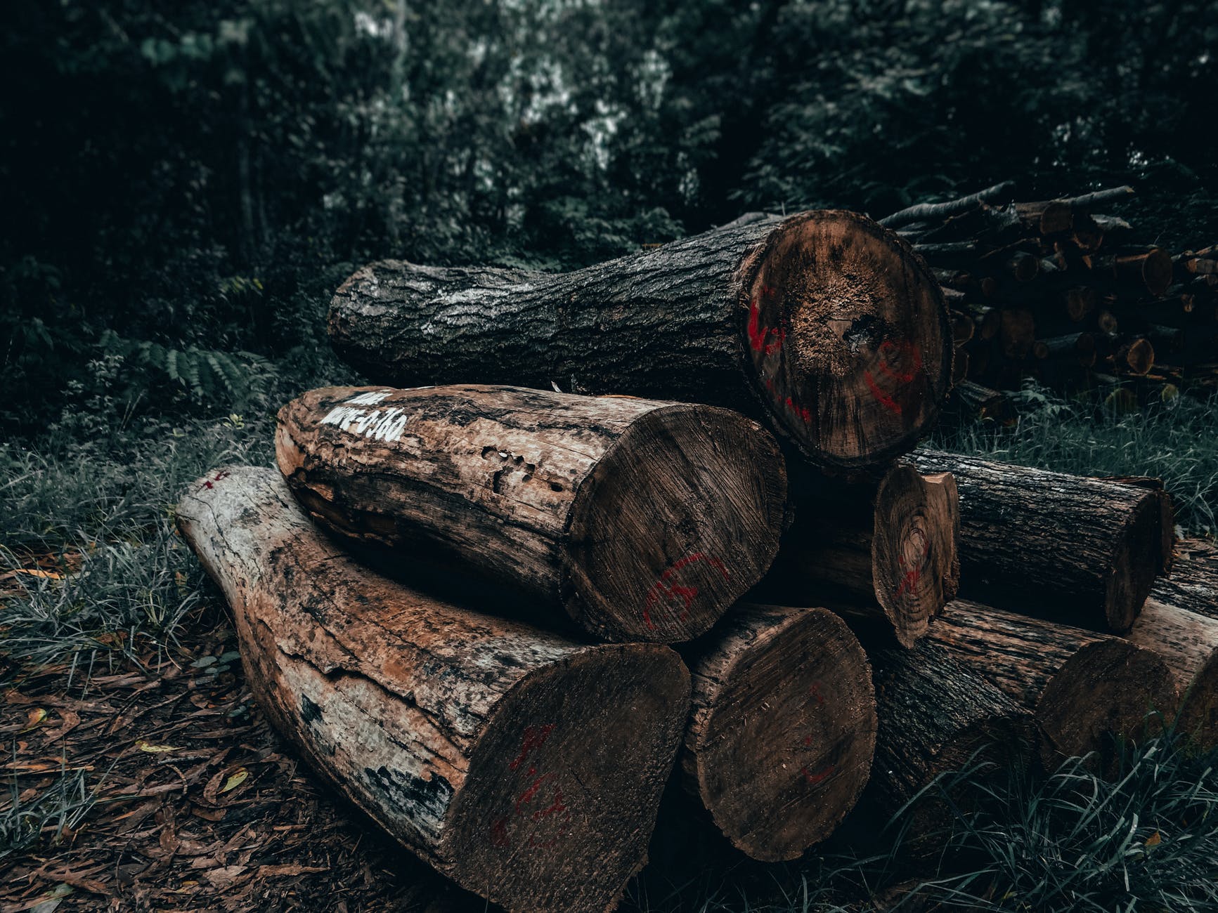 photo of brown wood logs