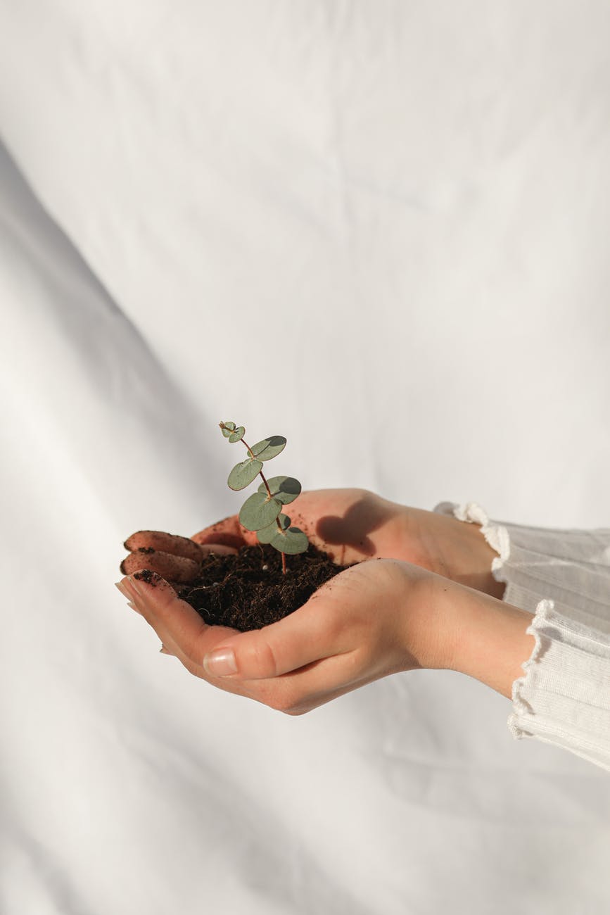 woman holding soil with a green plant